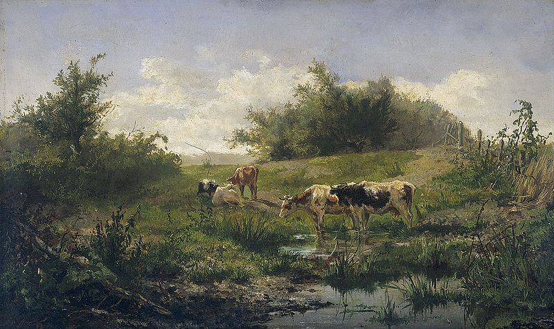 Cows at a pond